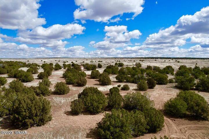 2253 Laguna Road Show Low, AZ 85901 - Photo 3 of 18