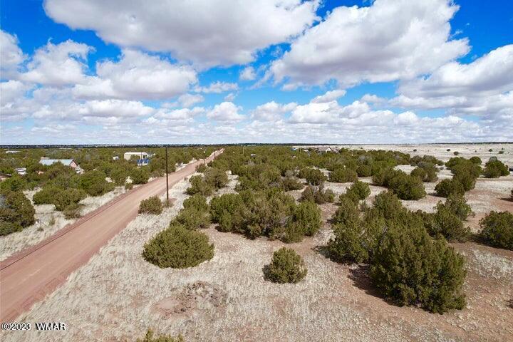 2253 Laguna Road Show Low, AZ 85901 - Photo 4 of 18