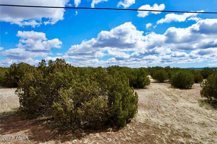 2253 Laguna Road Show Low, AZ 85901 - Photo 5 of 18