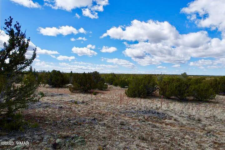 2253 Laguna Road Show Low, AZ 85901 - Photo 6 of 18