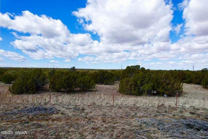 2253 Laguna Road Show Low, AZ 85901 - Photo 8 of 18