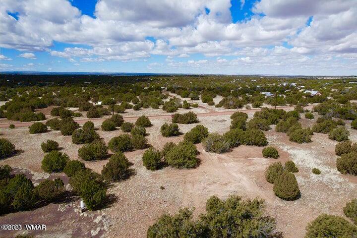 2253 Laguna Road Show Low, AZ 85901 - Photo 9 of 18