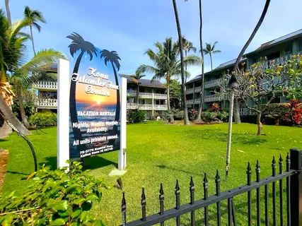 a view of a swimming pool with a garden and plants