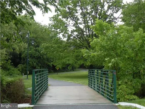 a view of a park with large trees