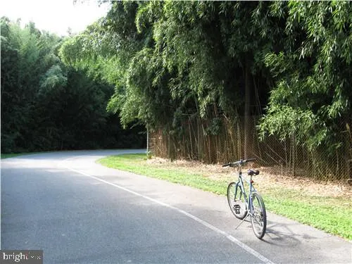 a view of outdoor space with yard