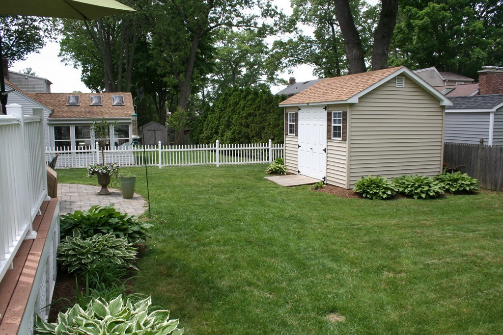 252 Cooper Street Springfield, MA 01108 - Photo 6 of 22 a front view of a house with a yard and trees