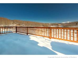 50 Lumberjack Road Fairplay, CO 80440 - Photo 11 of 25 Gallery Image 11