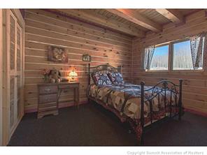 50 Lumberjack Road Fairplay, CO 80440 - Photo 15 of 25 Gallery Image 15