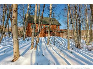 50 Lumberjack Road Fairplay, CO 80440 - Photo 25 of 25 Gallery Image 25