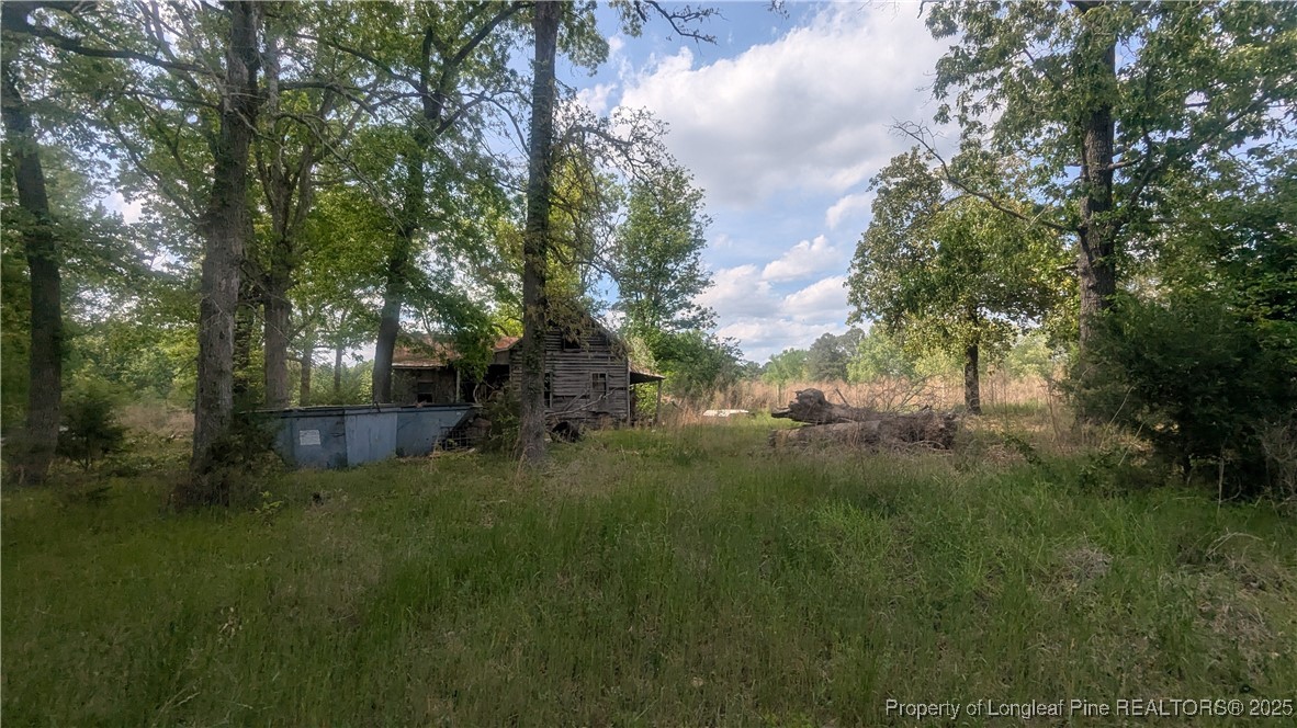 2957 Cypress Church Road Cameron, NC 28326 - Photo 17 of 30