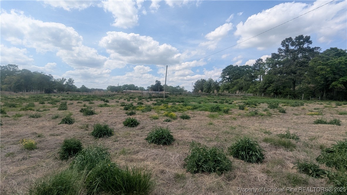 2957 Cypress Church Road Cameron, NC 28326 - Photo 21 of 30