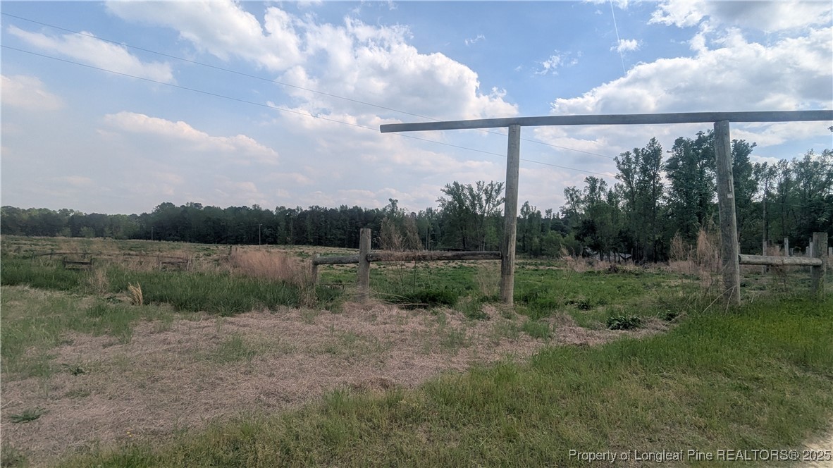 2957 Cypress Church Road Cameron, NC 28326 - Photo 25 of 30