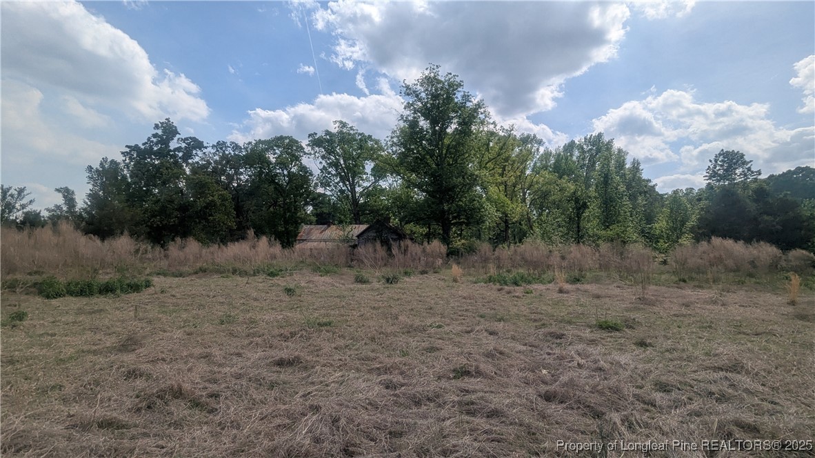 2957 Cypress Church Road Cameron, NC 28326 - Photo 26 of 30