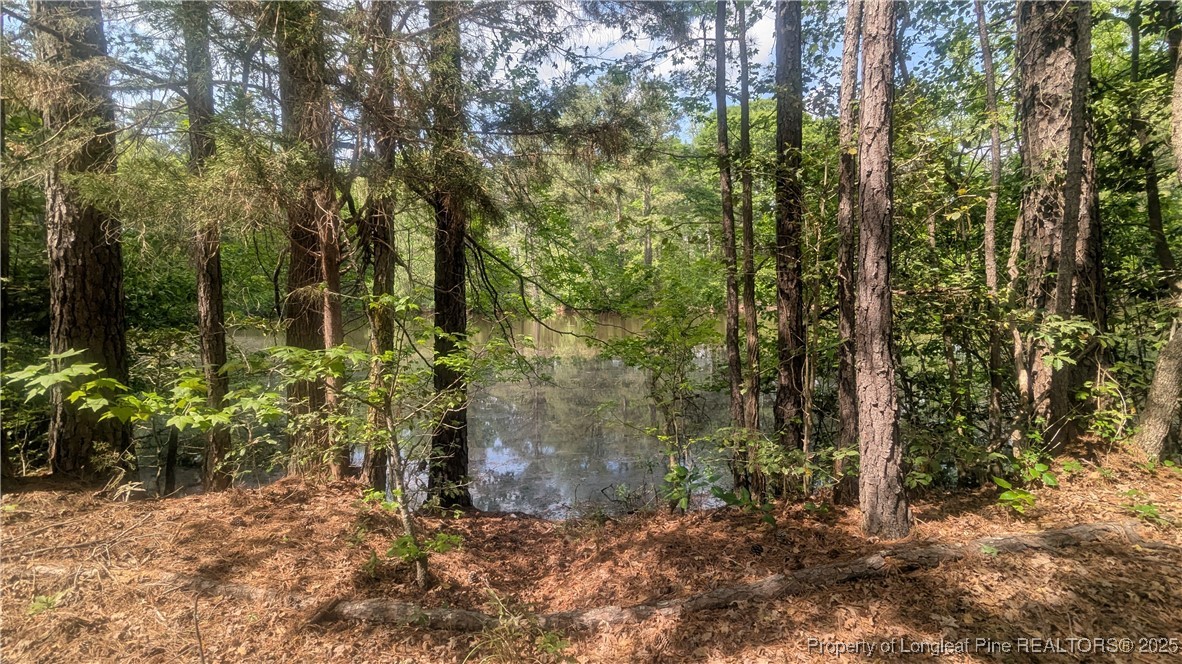 2957 Cypress Church Road Cameron, NC 28326 - Photo 30 of 30