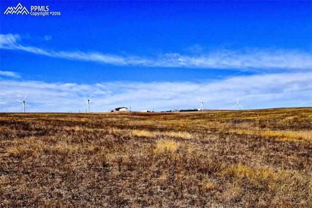 0 West Hanisch Road Calhan, CO 80808 - Photo 12 of 13