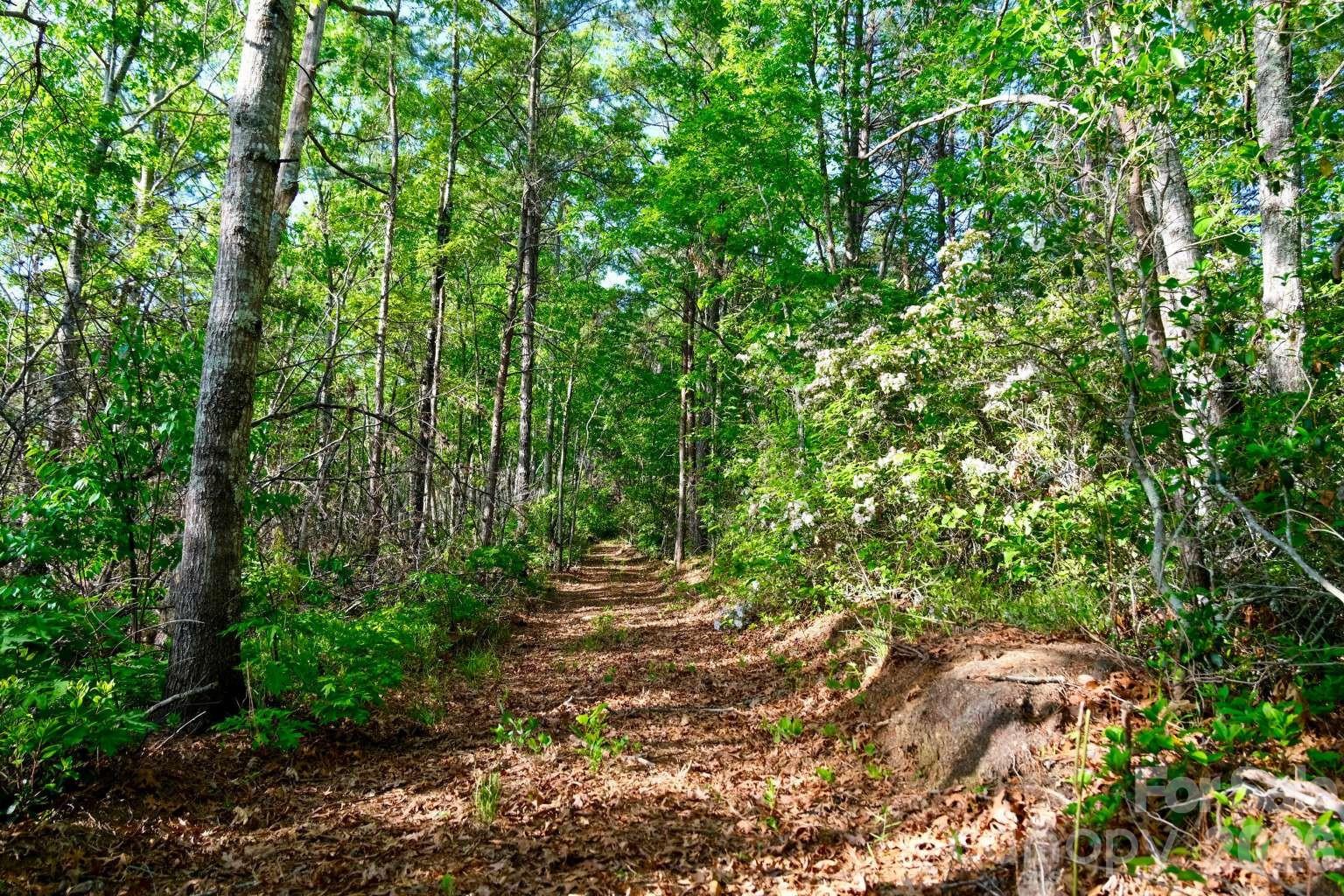 3815 Bat Cave Road Old Fort, NC 28762 - Photo 40 of 45