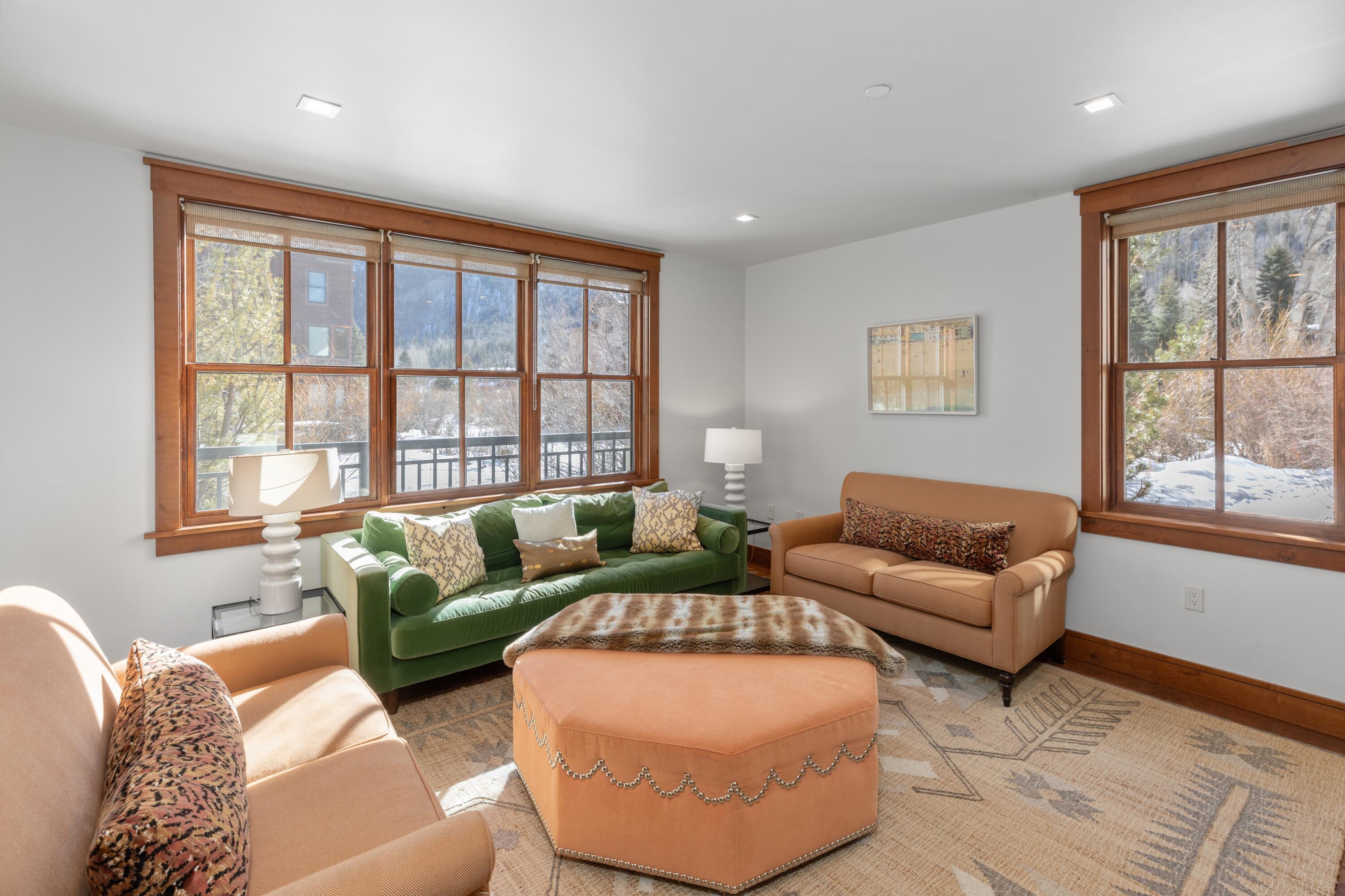 230 South Pine Street, Unit R 102 Telluride, CO 81435 - Photo 1 of 14 a living room with furniture and a large window