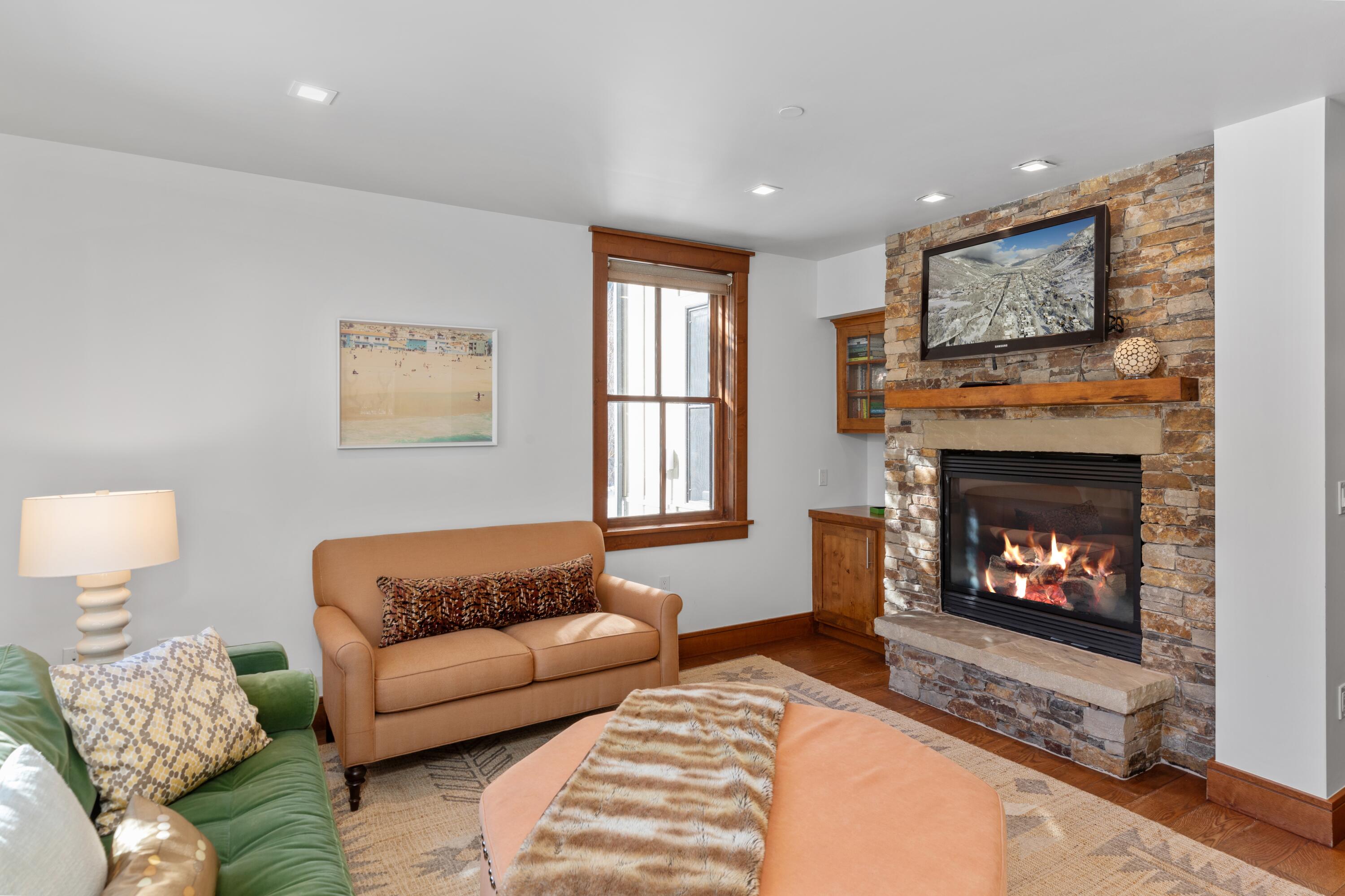 230 South Pine Street, Unit R 102 Telluride, CO 81435 - Photo 6 of 14 a living room with furniture a flat screen tv and a fireplace