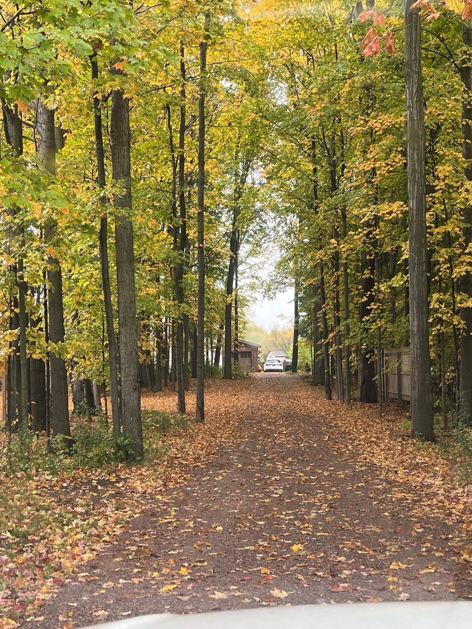 7999 Williston Road Williston, VT 05495 - Photo 21 of 36