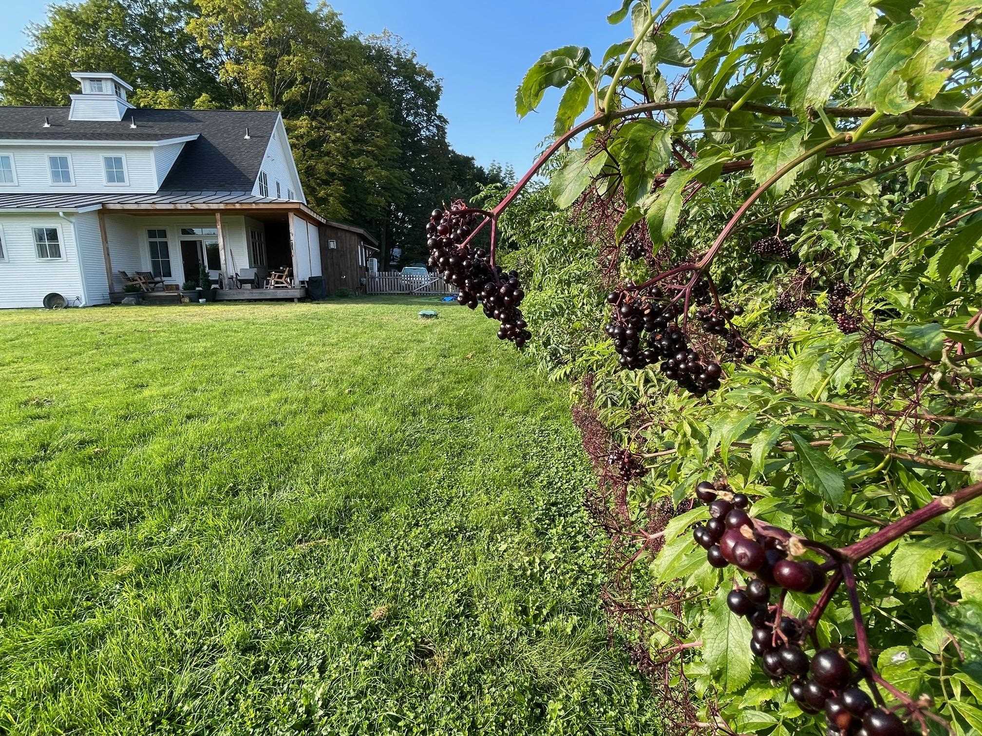 7999 Williston Road Williston, VT 05495 - Photo 30 of 36