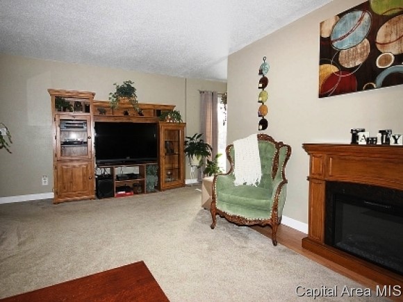 48 Amherst Drive Springfield, IL 62702 - Photo 11 of 23
