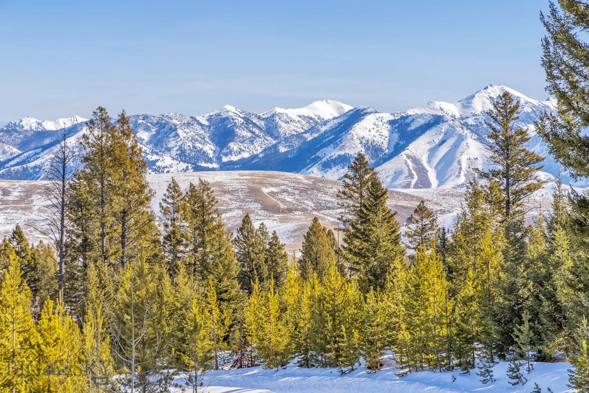 Lot 33 Elk Ridge Road Cameron, MT 59720 - Photo 51 of 75 Gallery Image 51