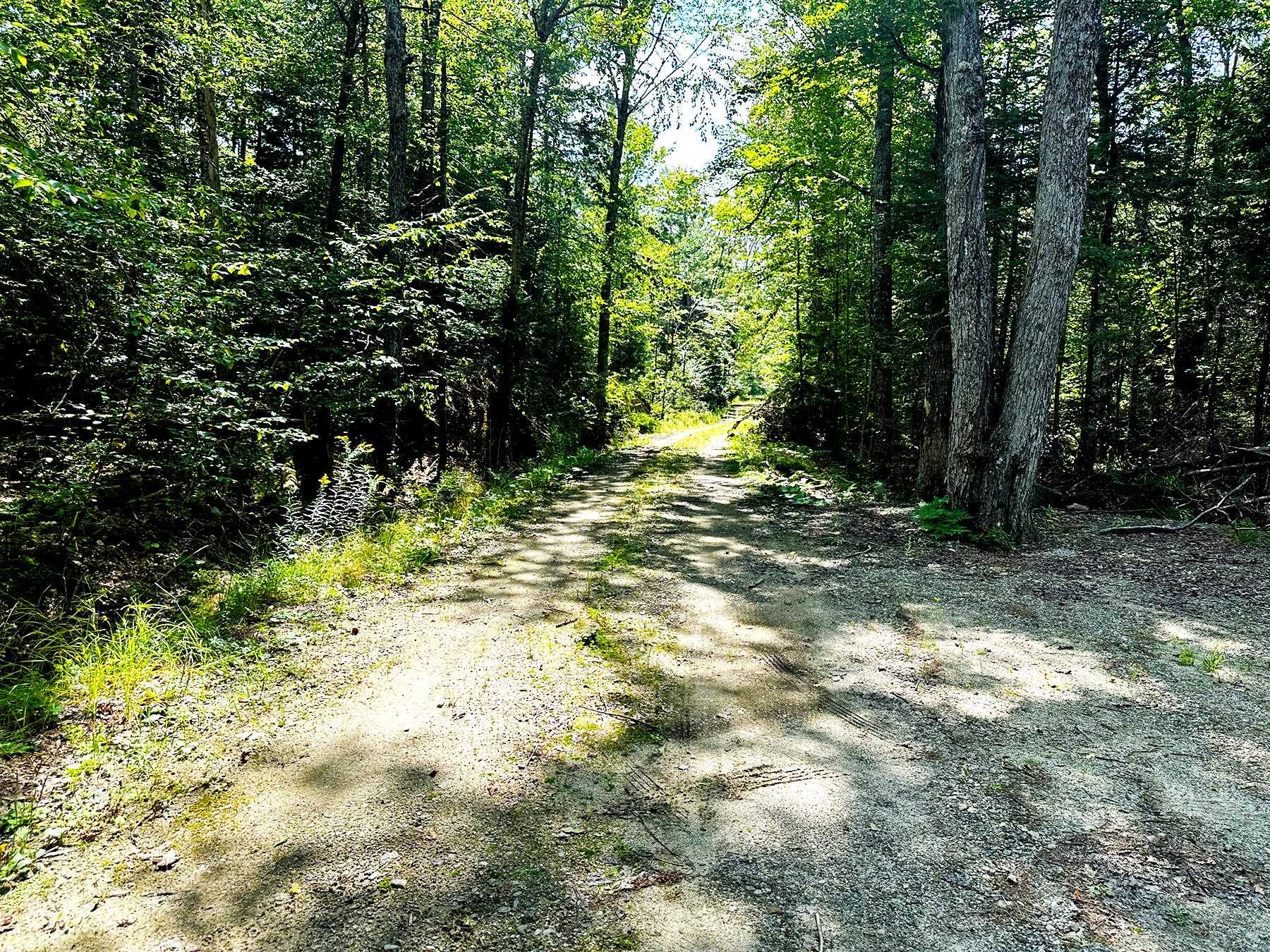 48 L 125/56 Phelps Road Springfield, NH 03284 - Photo 21 of 28