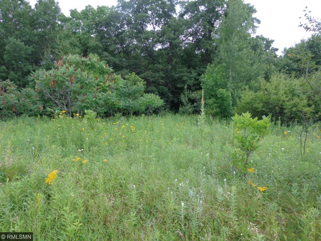 0 County Road 102 Road Ironton, MN 56455 - Photo 1 of 1 Gallery Image 1