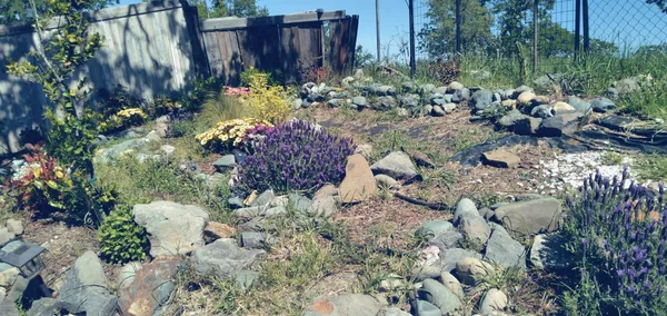a garden with lots of trees and flowers