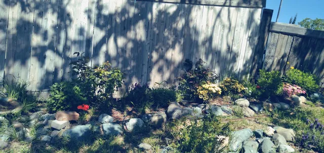 $25,000 | 7203 Amador Court, Corning, CA 96021