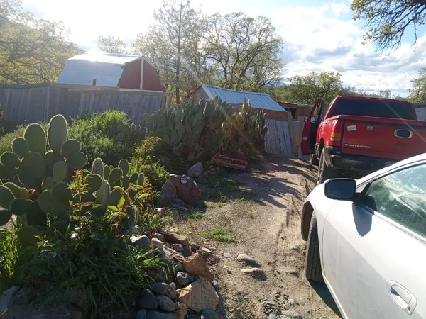 a view of a backyard