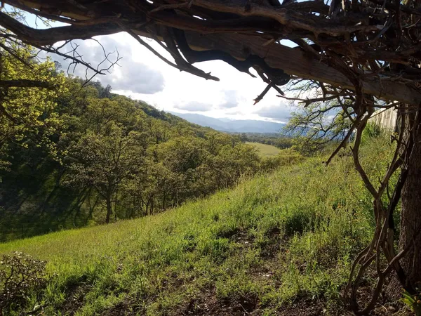 a backyard of a house with table and chairs