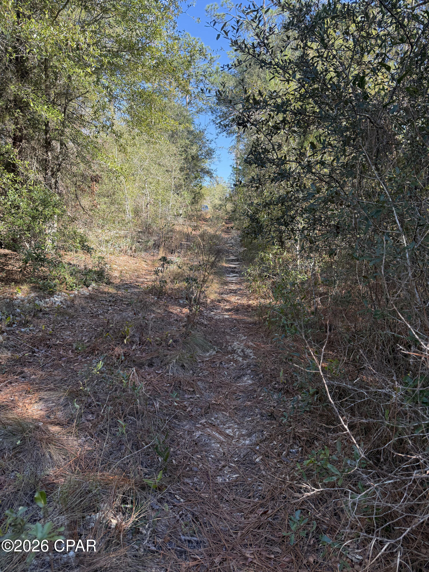Lot 21 Grassy Pond Road Chipley, FL 32428 - Photo 14 of 14