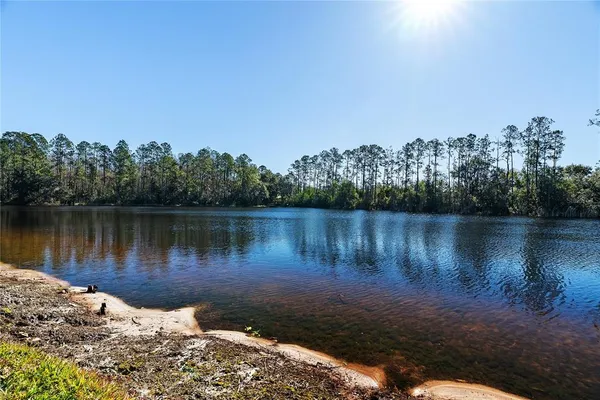 $2,850 | 4830 Sky Blue Drive, Lutz, FL 33558