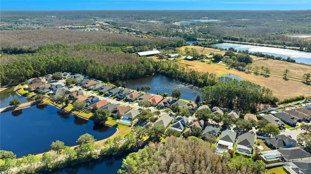 $2,925 | 4830 Sky Blue Drive, Lutz, FL 33558