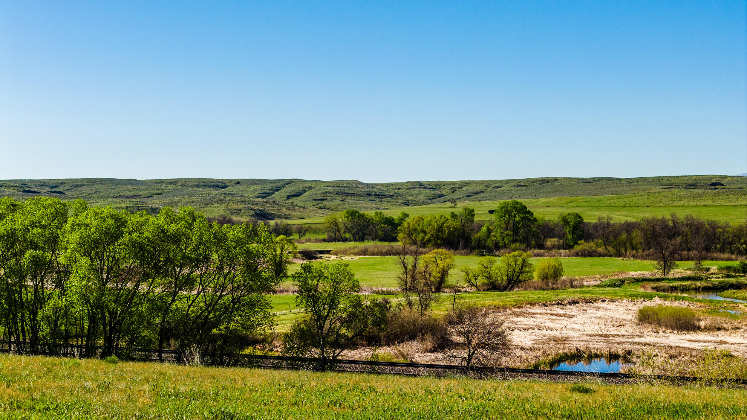 345 St Highway Ranchester, WY 82839 - Photo 10 of 30 1336 wy 345 010