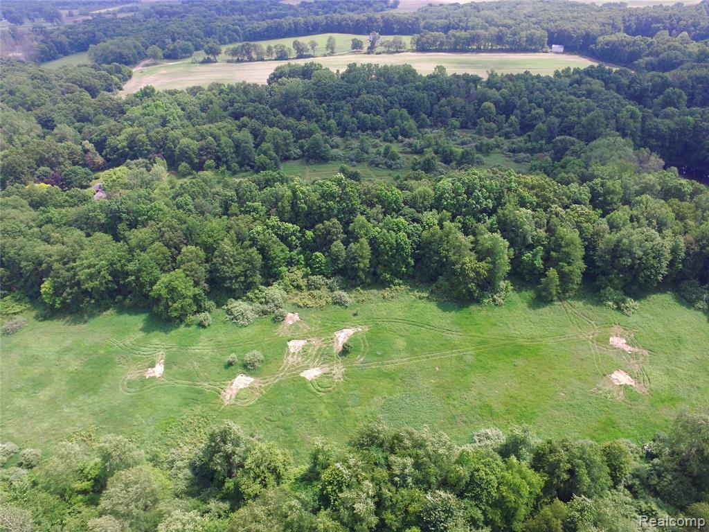 16744 Arnold Road Gregory, MI 48137 - Photo 46 of 67