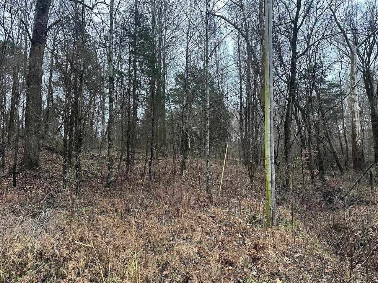 0 North Gillock Road Glasgow, KY 42141 - Photo 6 of 13 Gallery Image 6