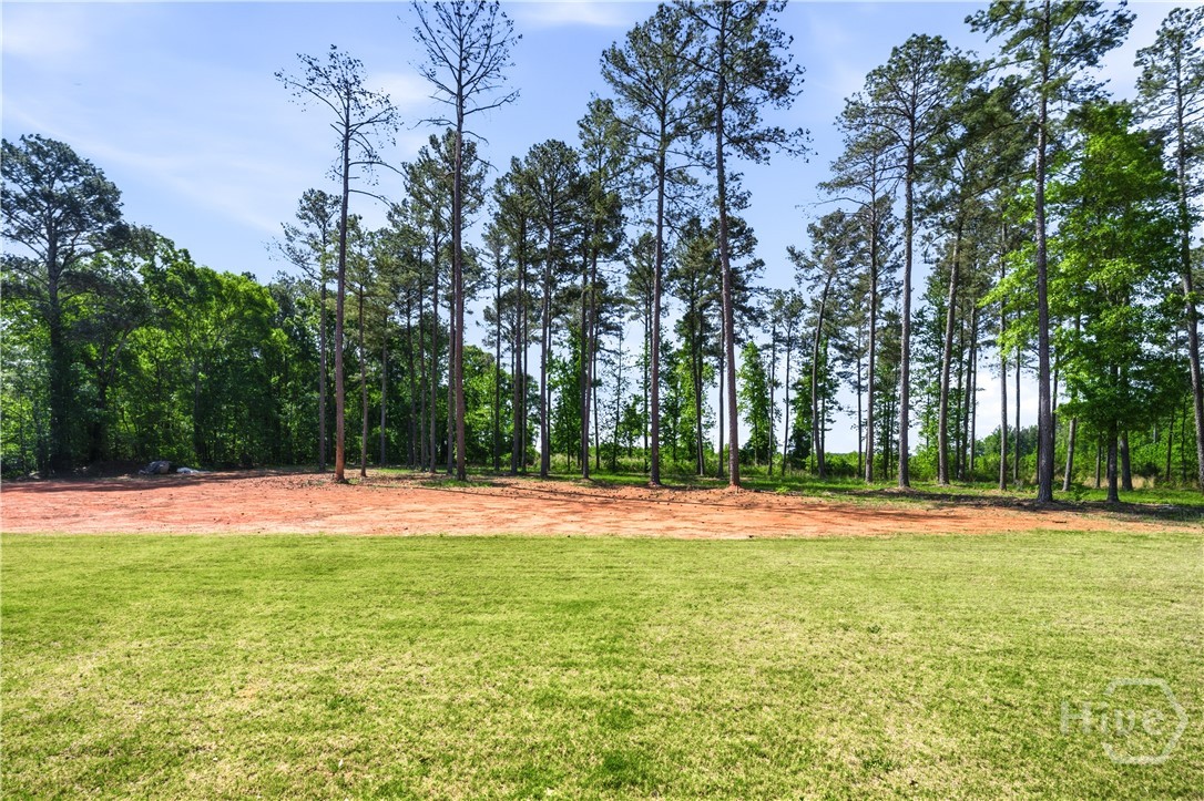270 Indian Creek Road Good Hope, GA 30641 - Photo 43 of 65