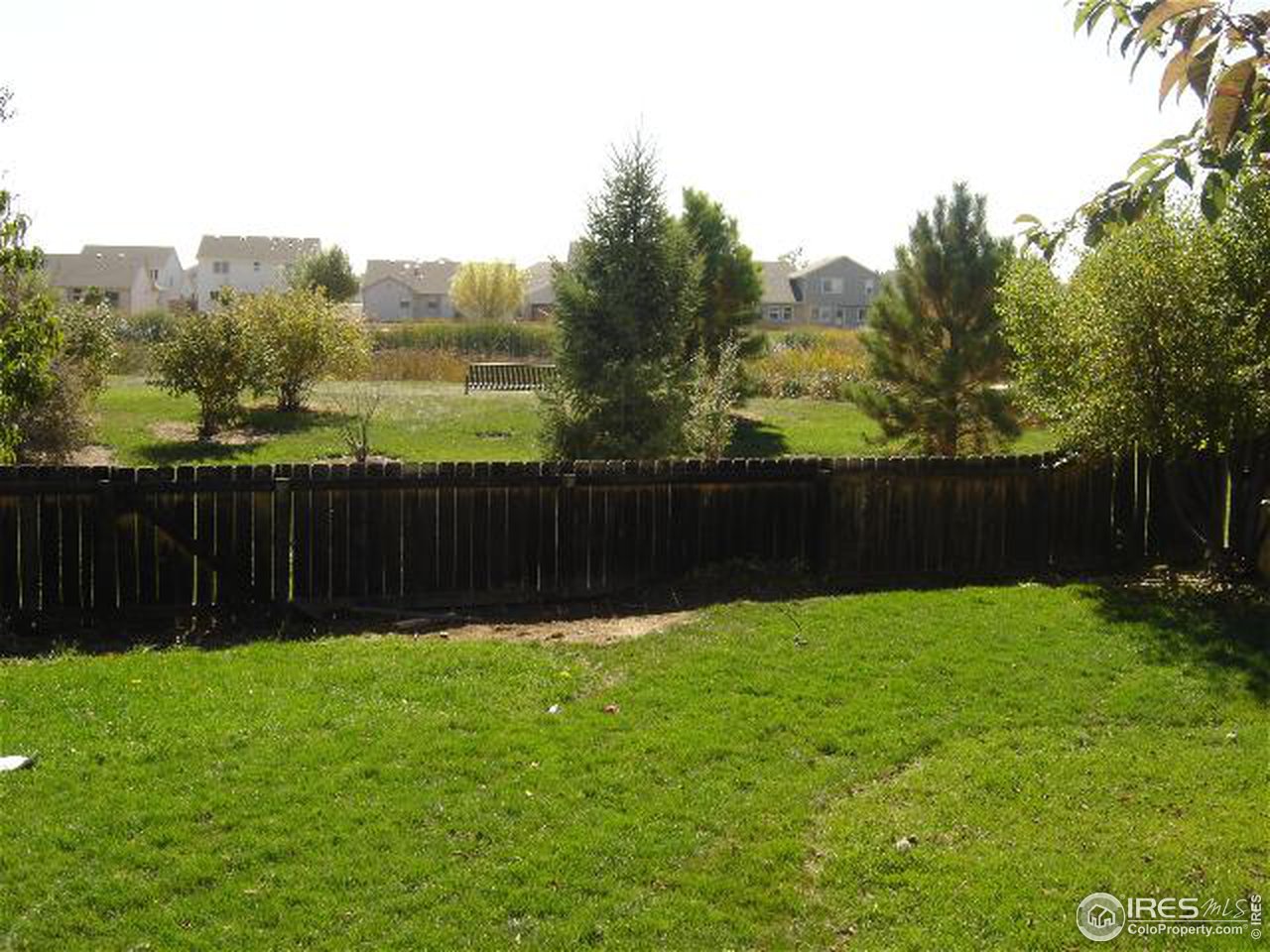 2637 Bison Road Fort Collins, CO 80525 - Photo 6 of 9 Gallery Image 6