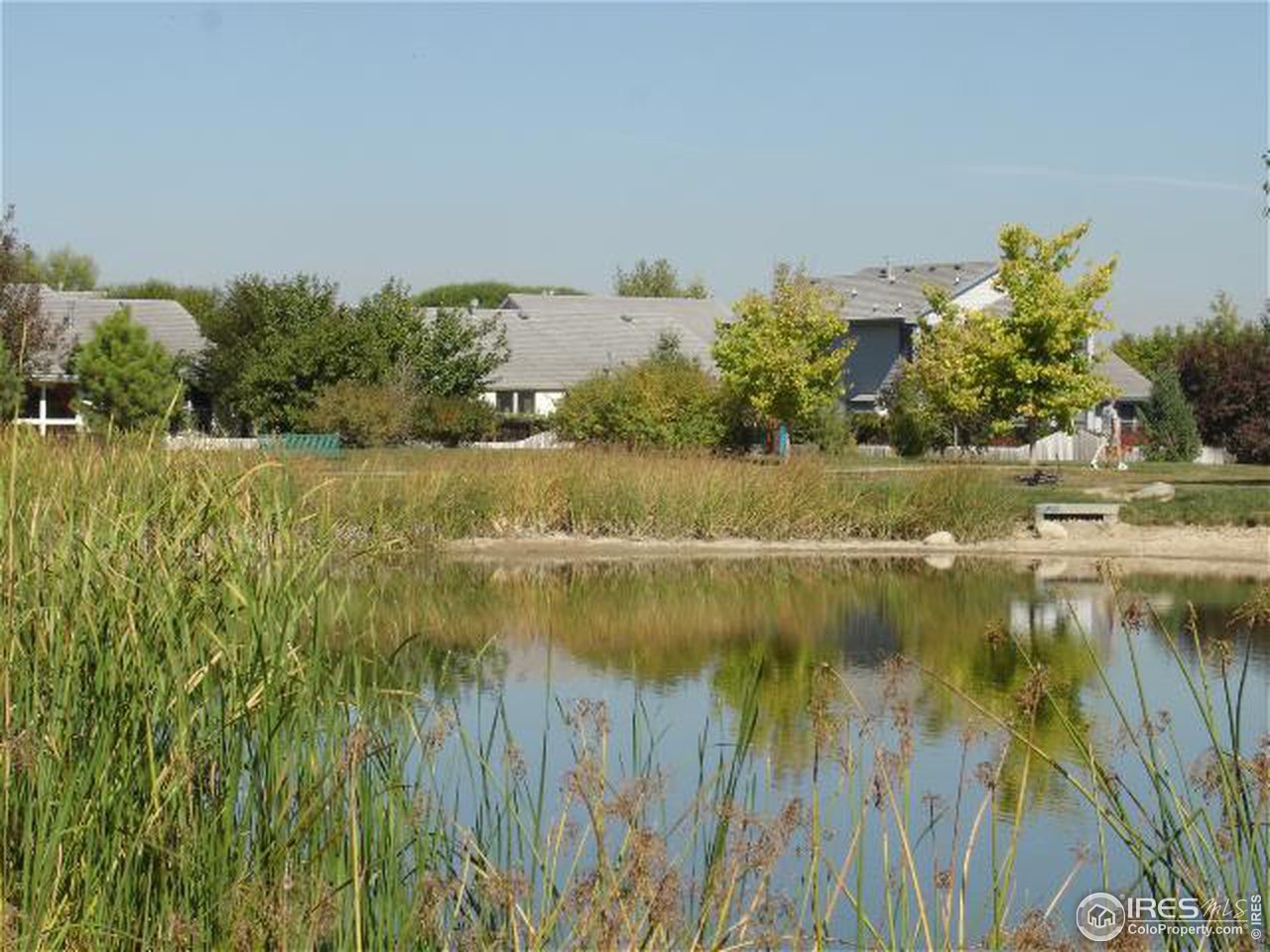 2637 Bison Road Fort Collins, CO 80525 - Photo 7 of 9 Gallery Image 7
