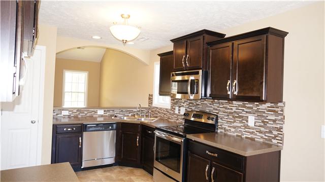69 Pine Ridge Afton, TN 37616 - Photo 4 of 20