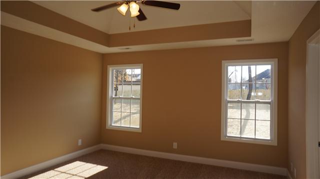 69 Pine Ridge Afton, TN 37616 - Photo 9 of 20