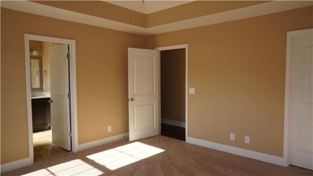 69 Pine Ridge Afton, TN 37616 - Photo 10 of 20