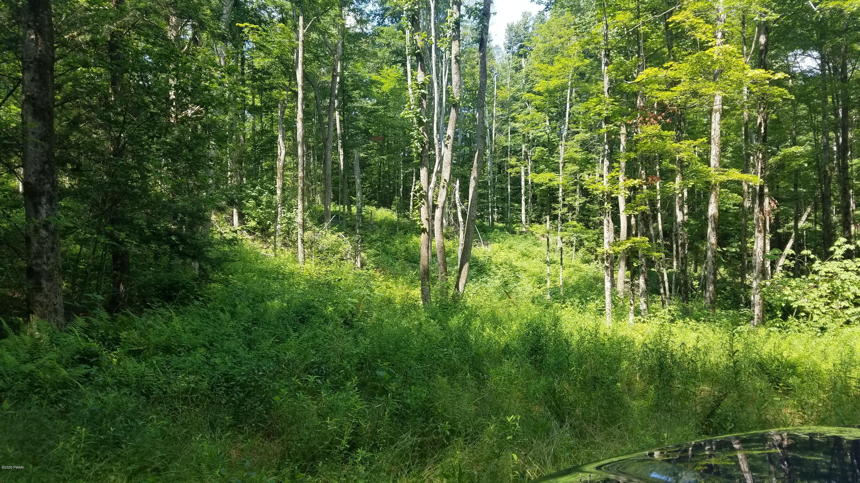 48 Wild Acres Road Lake Ariel, PA 18436 - Photo 3 of 9