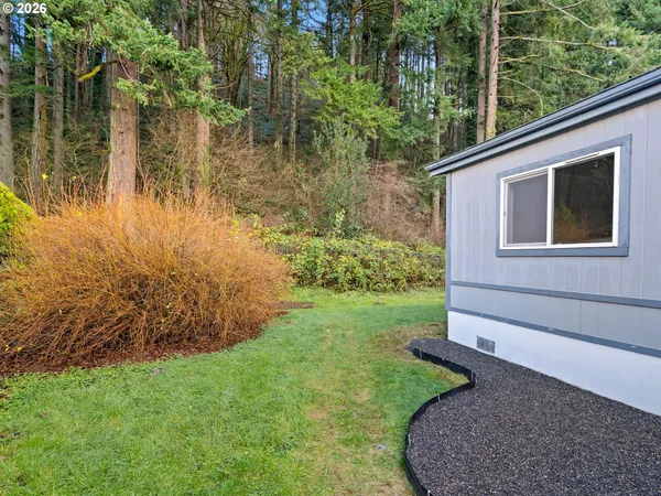 a view of a backyard with plants