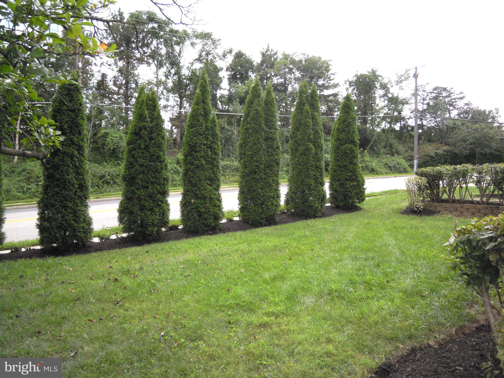612 Providence Road Baltimore, MD 21286 - Photo 22 of 24 a view of a park with large trees
