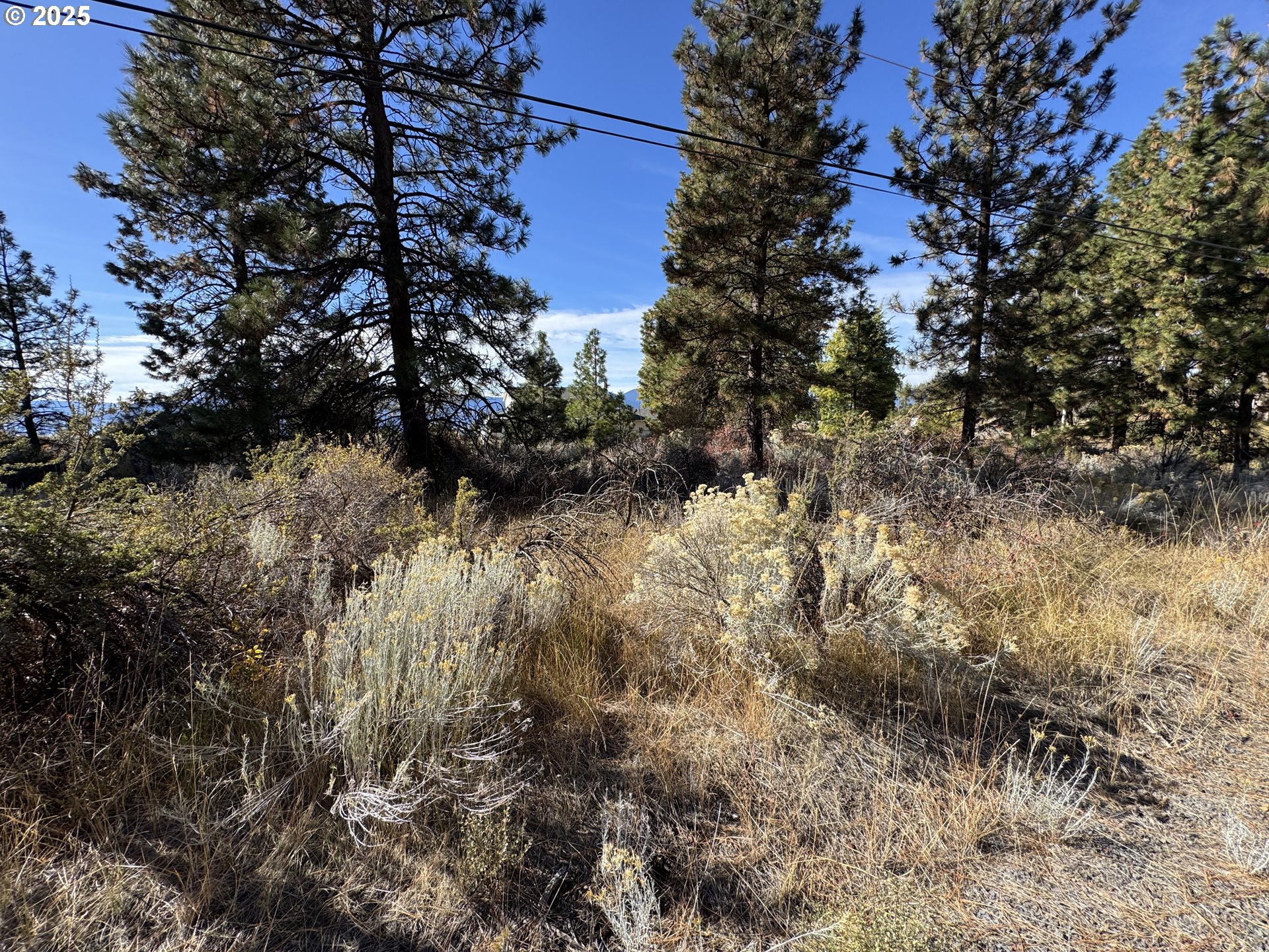 Irving Way, Unit 51 Chiloquin, OR 97624 - Photo 30 of 35