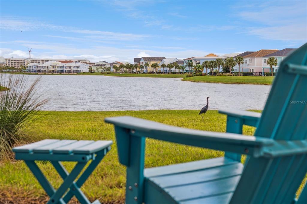 2949 Caribbean Soul Drive Kissimmee, FL 34747 - Photo 35 of 88