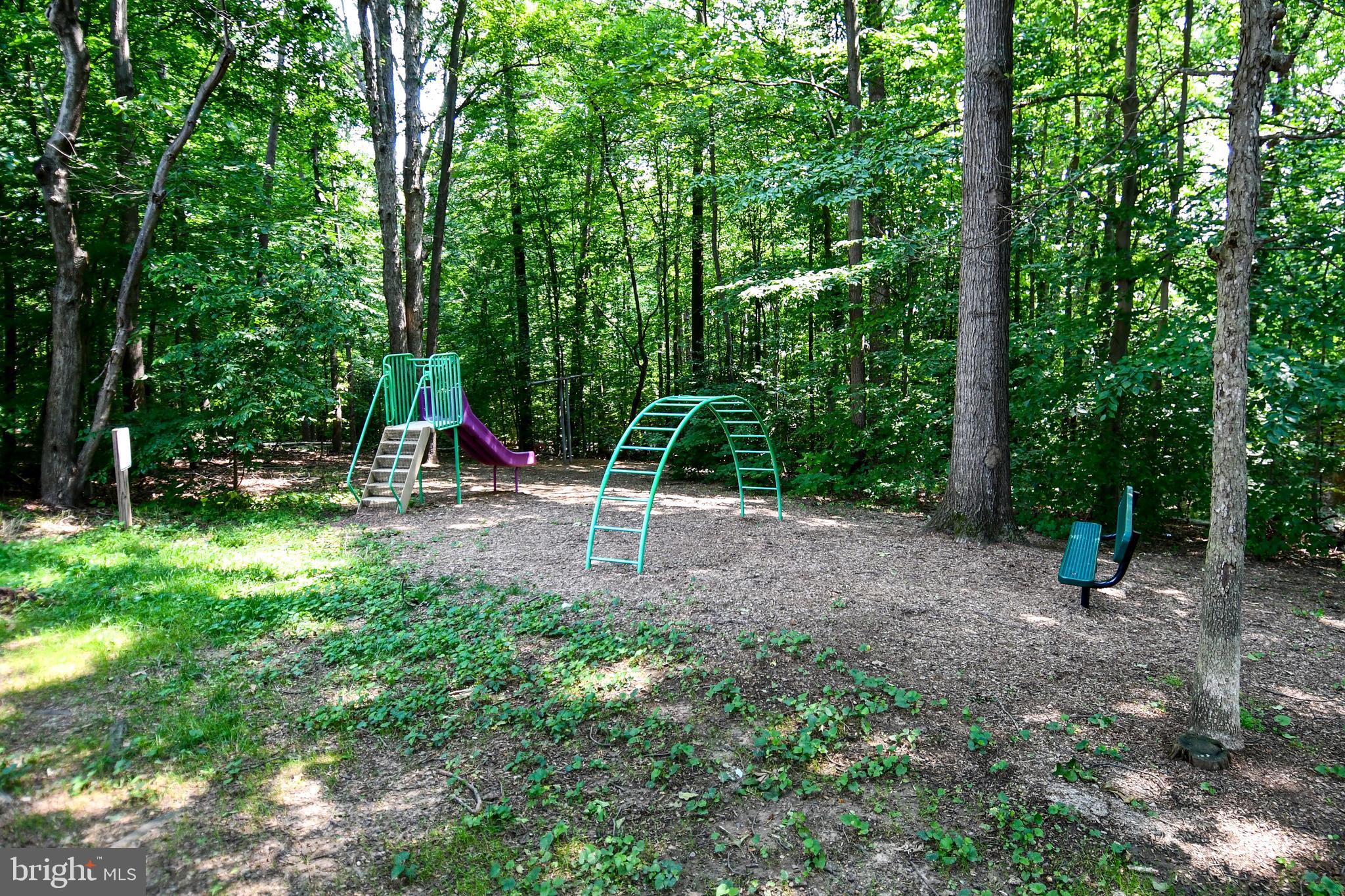 8317 Windfall Road Springfield, VA 22153 - Photo 35 of 35